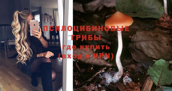 jwh Алексеевка