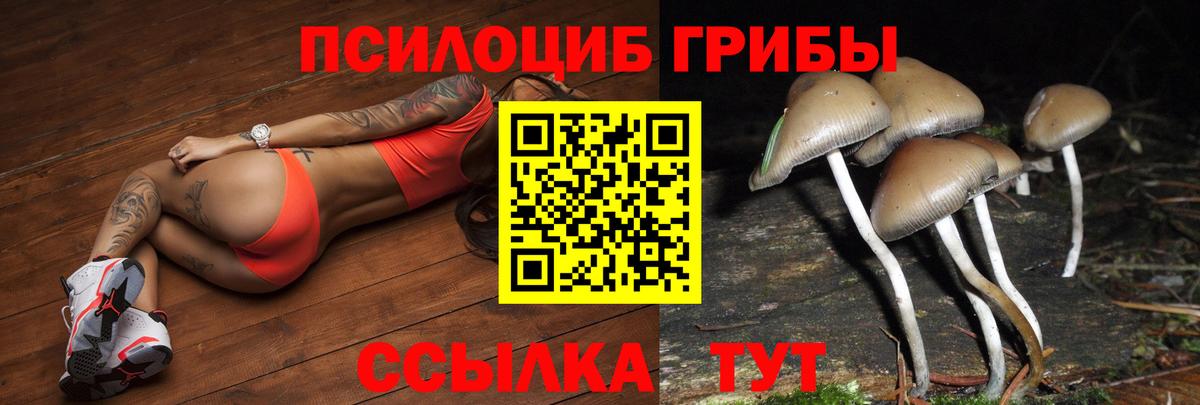 Североуральск  Галлюциногенные грибы Magic Shrooms  Вход с VPN 